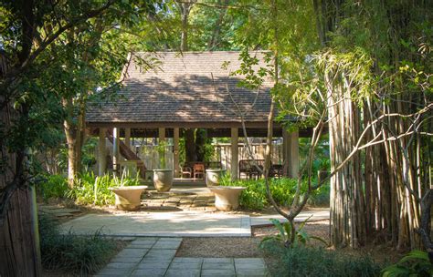 About Treehouse Thailand Rehab and Wellness Retreat.